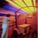 Camion - Lieferservice